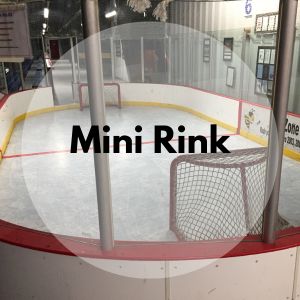 Mini Rink