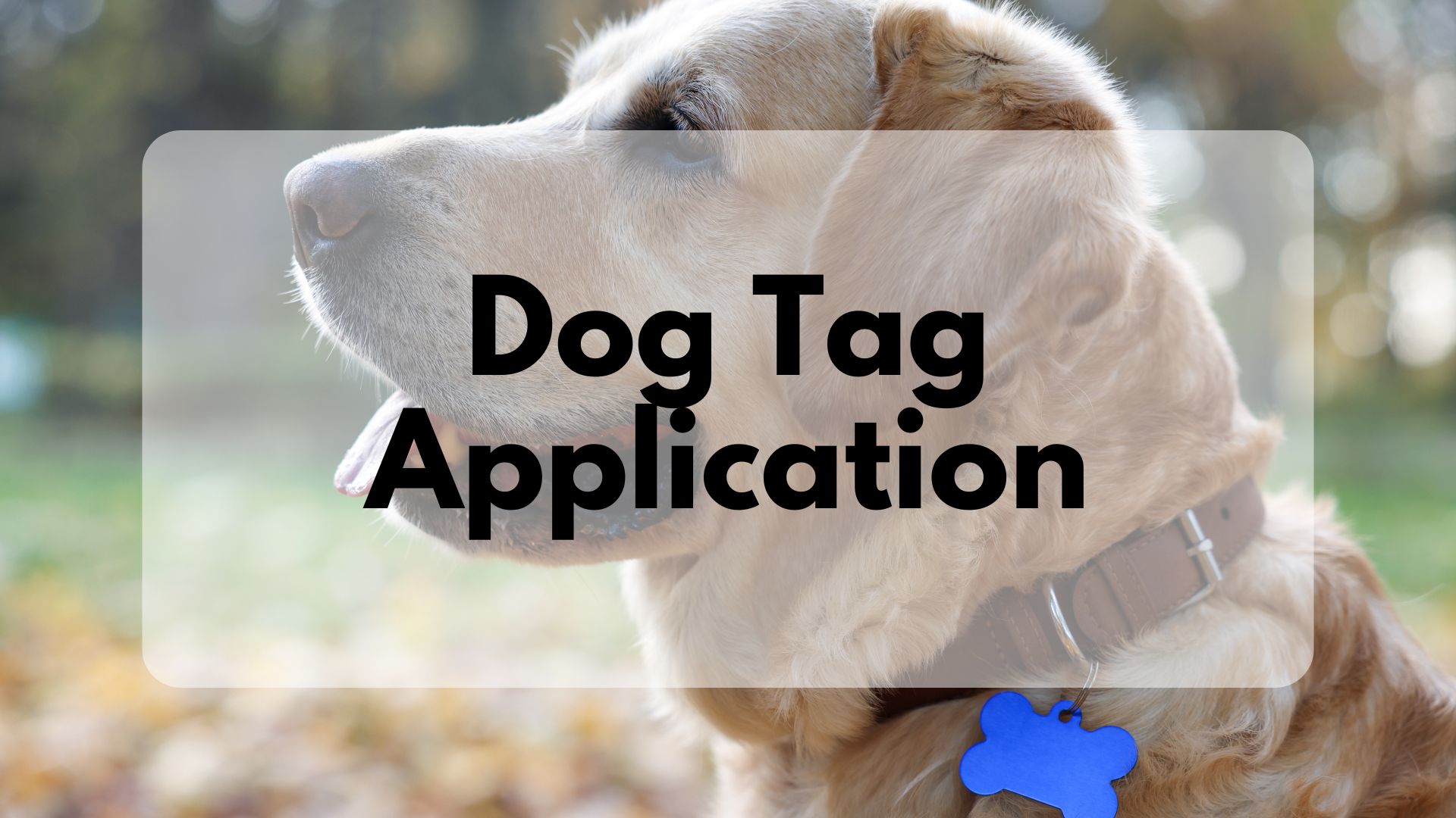 Dog Tag Application