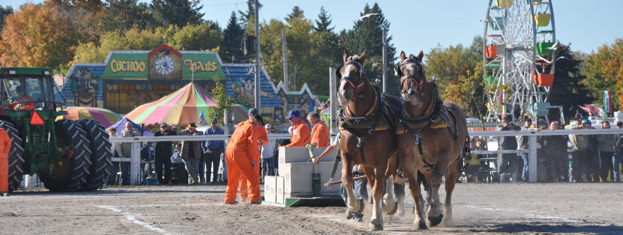 Norwood Fall Fair